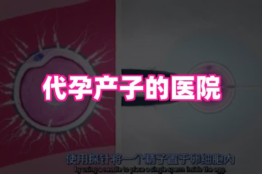 长沙助孕网站 2